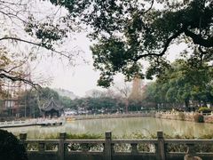 -汇龙潭