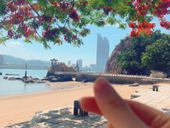 -鼓浪屿·皓月园