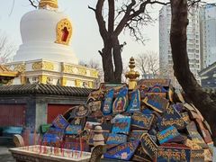 -护国法轮寺