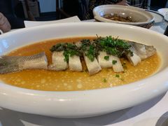 椒汁蒸鲈鱼-禧宴Joyous Restaurant(禧园店)