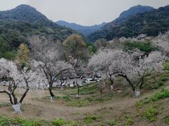 -广州市石门国家森林公园