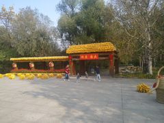 -黑龙江省森林植物园