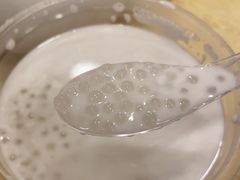 -沙湾姜撞奶甜品店(昌岗中路店)