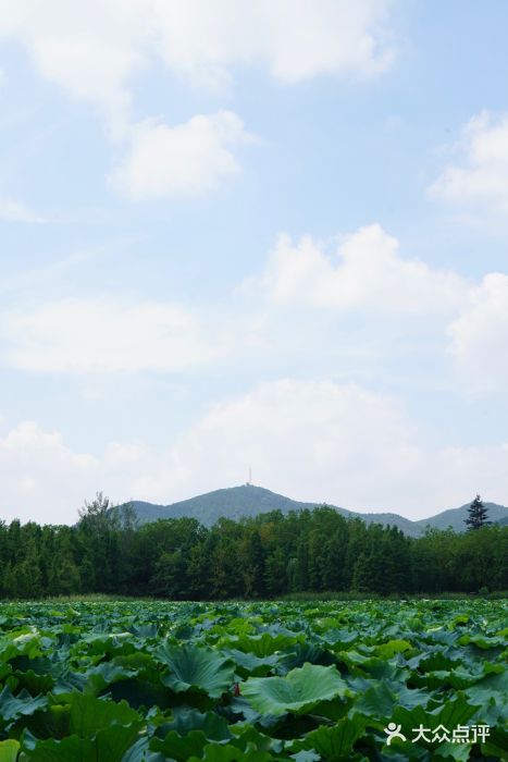 云龙湖旅游景区图片