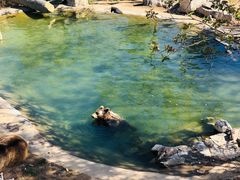 -石家庄市动物园