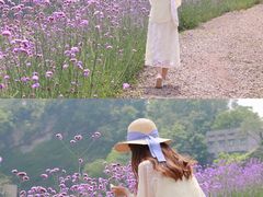 -石井坡(地铁站)