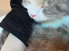 -平行世界·猫咖(首经贸店)