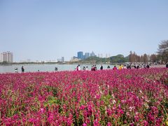 -顺峰山公园