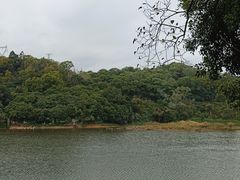 -火炉山森林公园