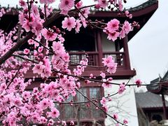 -堤角公园