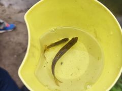 -何适山庄 ·可团建(水长城P2停车场店)