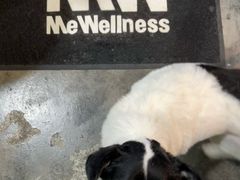 -CrossFit MeWellness