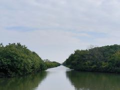 -大湾区中央湿地公园