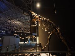 -世界恐龙谷景区