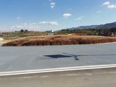 -彩色沙林风景区