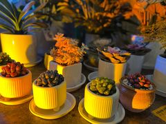 -火塘云南烧烤大排档