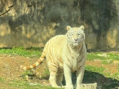 -杭州野生动物世界