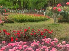 -花溪公园