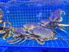 -启东小海鲜(庄先湾路1号店)