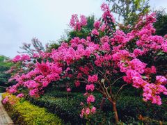 -杭州城北体育公园