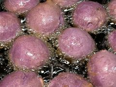 -石潭贵香酒店(玄真路店)