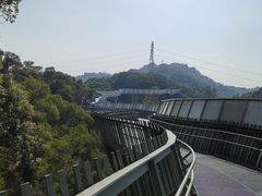 -福道