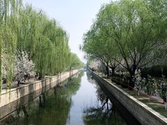 -元大都城垣遗址公园