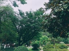 -西湖风景区十里琅珰-五云山