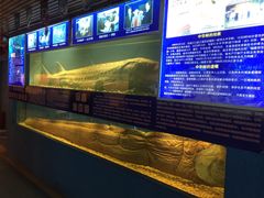 -左海海底世界