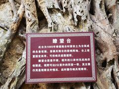 -友谊关景区