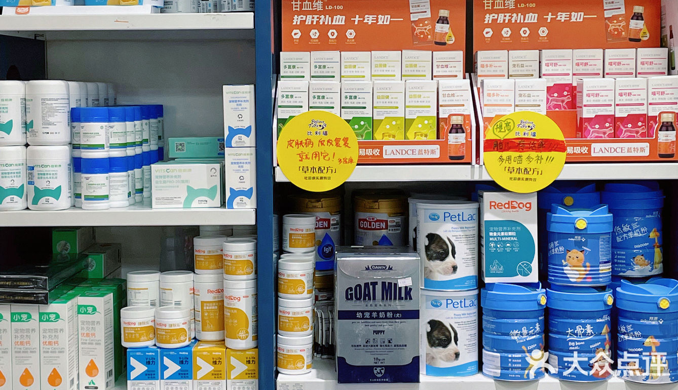 成华区最大宠物店🐾穿搭博主的狗也要洋气