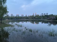 -群力丁香公园