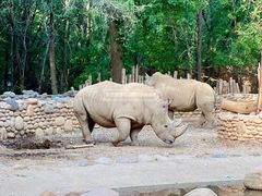 -北京野生动物园