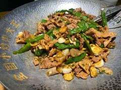 -费大厨辣椒炒肉(新城吾悦广场店)