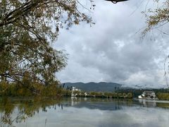 -回辉登偰氏面片(东莲花美食街店)