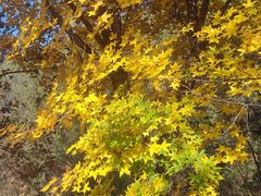 -蟠龙山长城景区