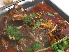-杨氏青龙虾·羊蝎子(托乐嘉店)