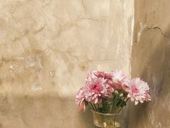 -VOYAGE COFFEE(北锣鼓巷店)