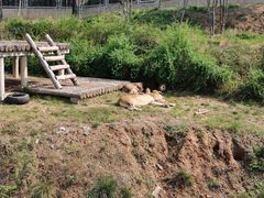 -石家庄市动物园