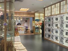 -小猫来了·猫舍(红山六九七九店)