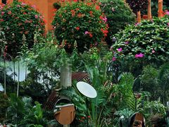 -深圳仙湖植物园