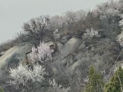 -白水寺森林公园