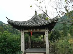 -大罗山风景区