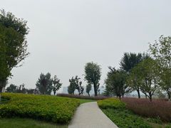 -汉长安城未央宫国家考古遗址公园