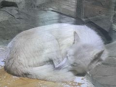 -海合安成都极地海洋公园