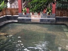 iphone_upload_pic-嘉和K6温泉微度假