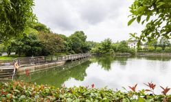 -长沙小顽国景区