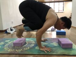 -兴亚瑜伽20年老馆