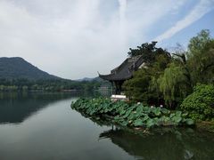 景点-西湖外事游船(花港观鱼码头)