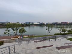 -羊山湖公园